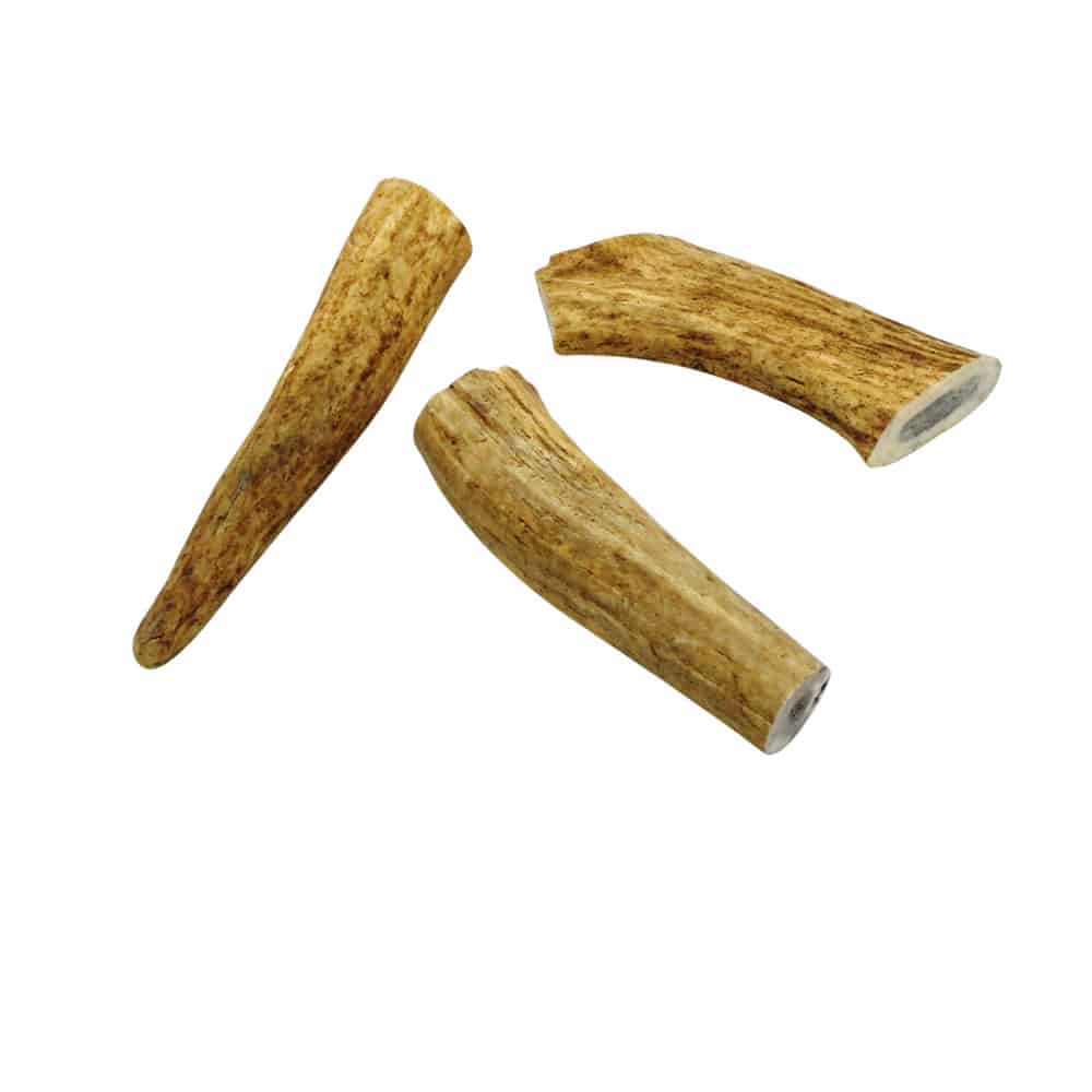 Small Elk Antlers K9 Kraving