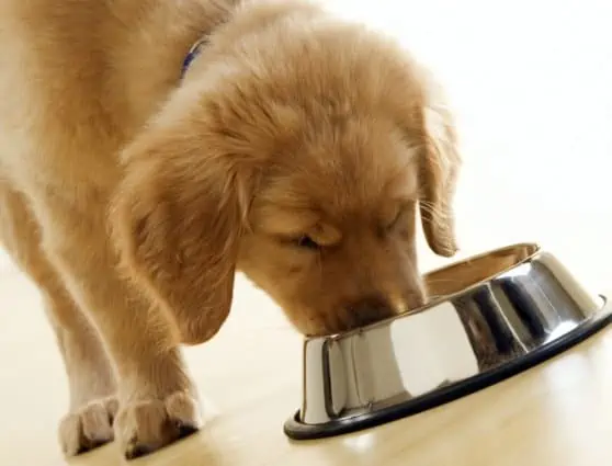 Policosanol (Triacontanol) manufacturer Policosanol (Triacontanol) manufacturer