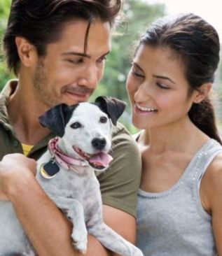 Adopting a Dog from Craigslist: 10 Tips for Successful Adoptions (Part 2)