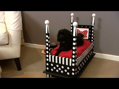 How to Choose the Right Dog Bed