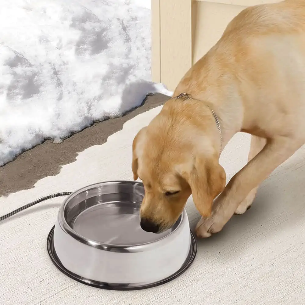 Protect Your Dog Bowl from Winter Freezing - K-9 Kraving