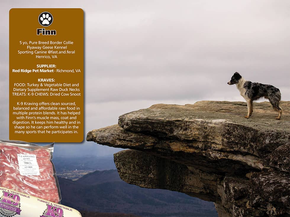 2023 Calendar K9 Kraving