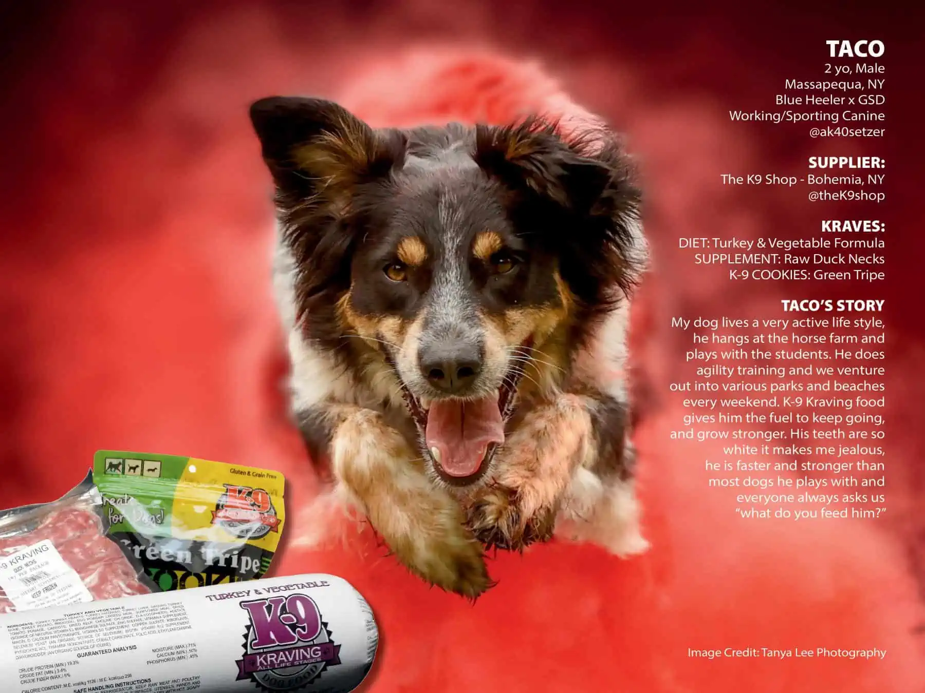 Turkey Vegetable Formula K 9 Kraving