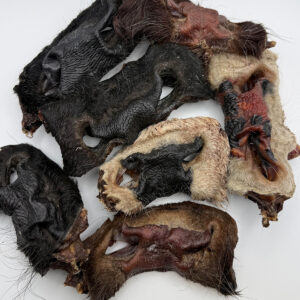 Dried Cow Noses